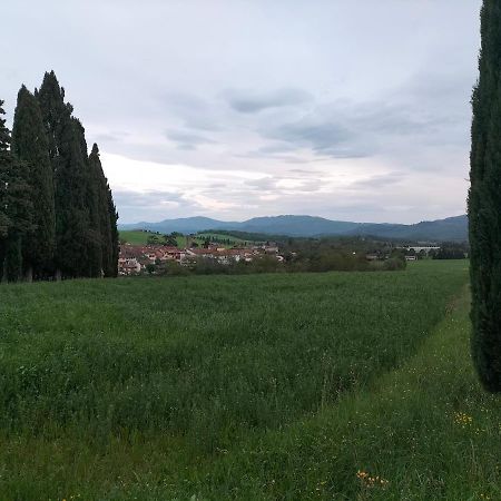 La Casetta Di Bruno Sul Passo Della Futa Traversa Ngoại thất bức ảnh